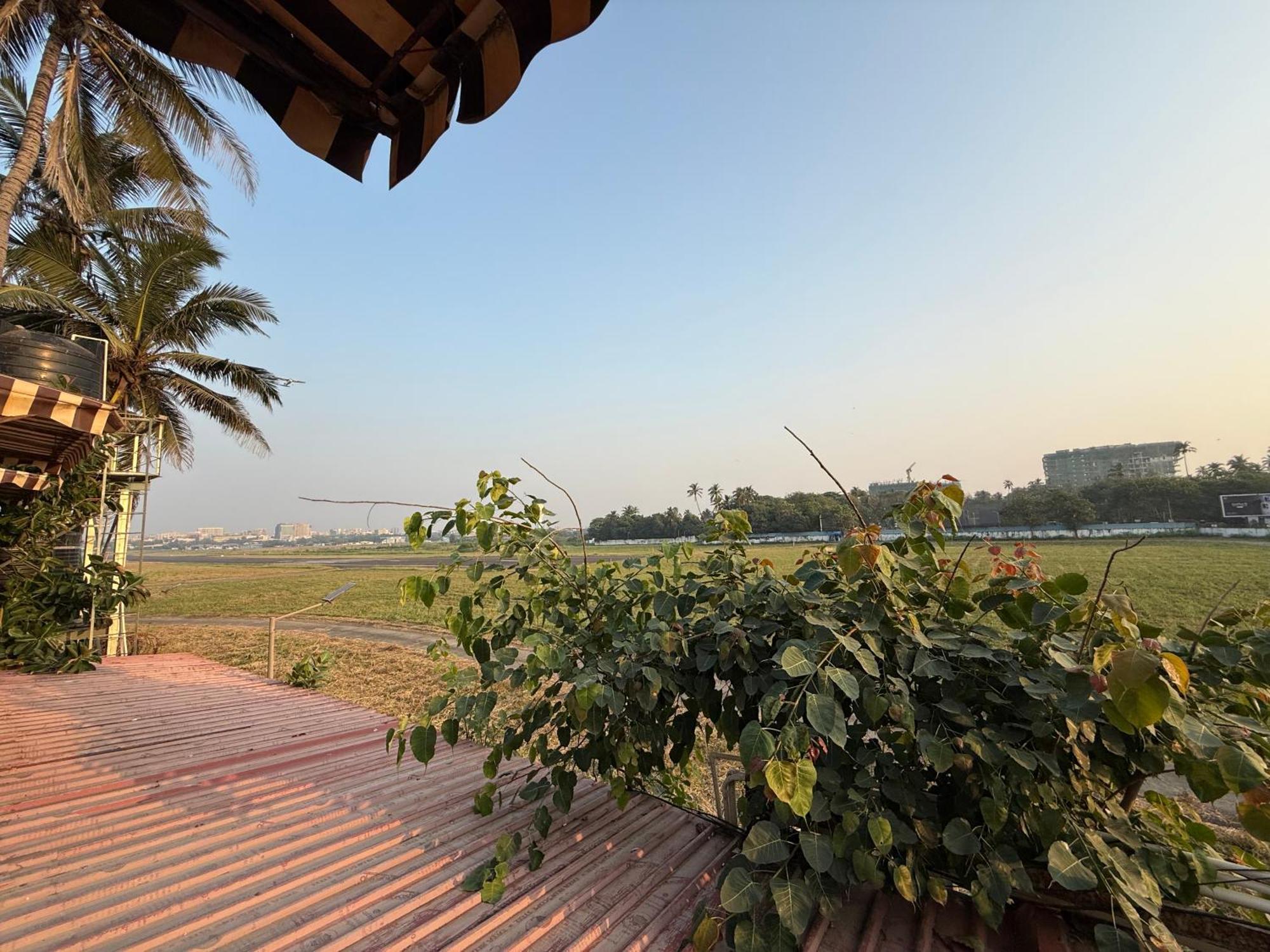 Hotel Beach Garden — Photos 3